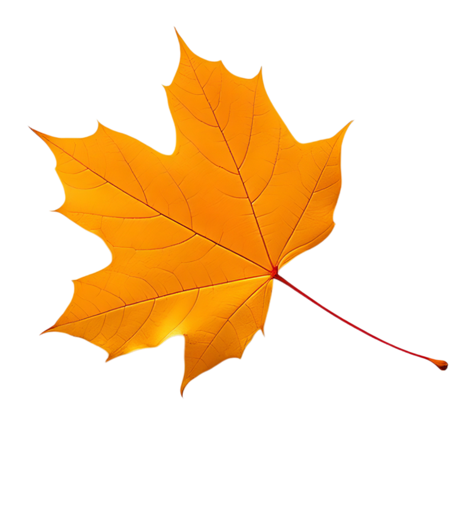 herbstblatt (6)