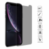 9H 3D Privacy Anti-glare Non-full Screen Tempered Glass Screen Protector for iPhone 11 / XR