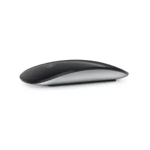 Apple Magic Mouse (Schwarz)