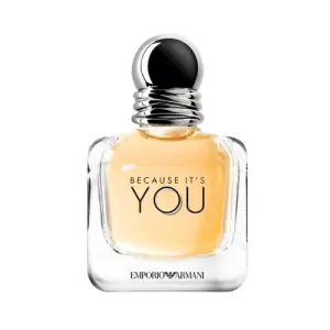 Emporio Armani Because It’s You Eau de Parfum (100ml)