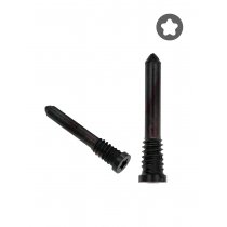 Apple iPhone 12 Pro Max Bottom Screws Graphite (10 Pack)