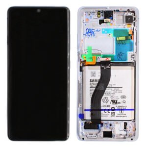 Samsung SM-G998B Galaxy S21 Ultra LCD Display + Touchscreen + Frame - GH82-24591B/GH82-24925B - With Battery - Silver